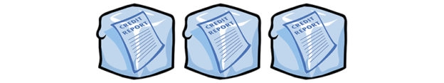 a close-up of a credit report