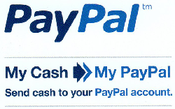a close-up of a paypal logo