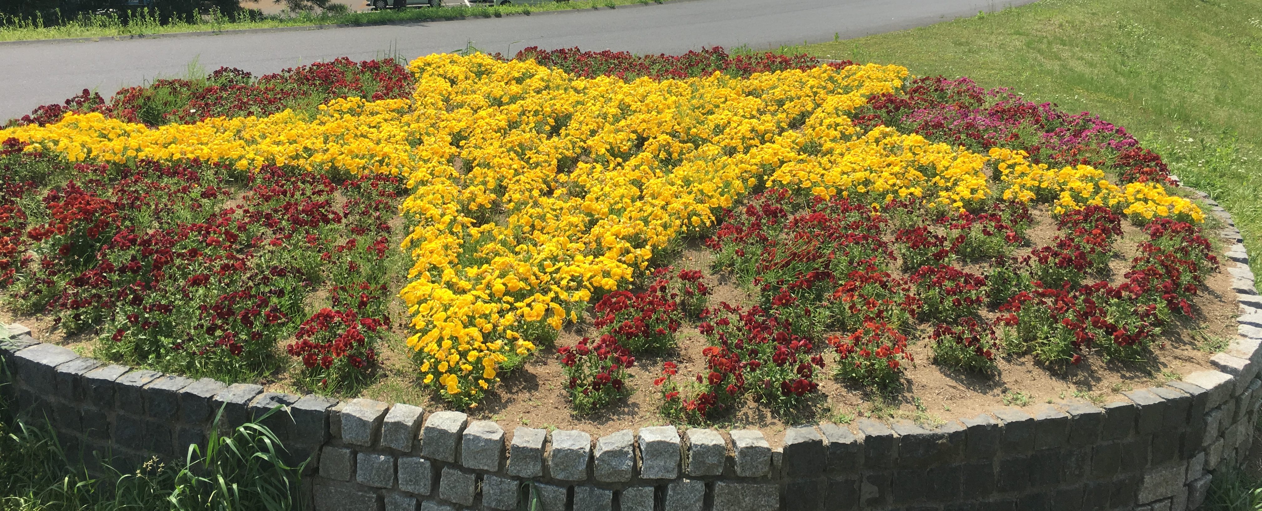 a flower bed with yellow and red flowers