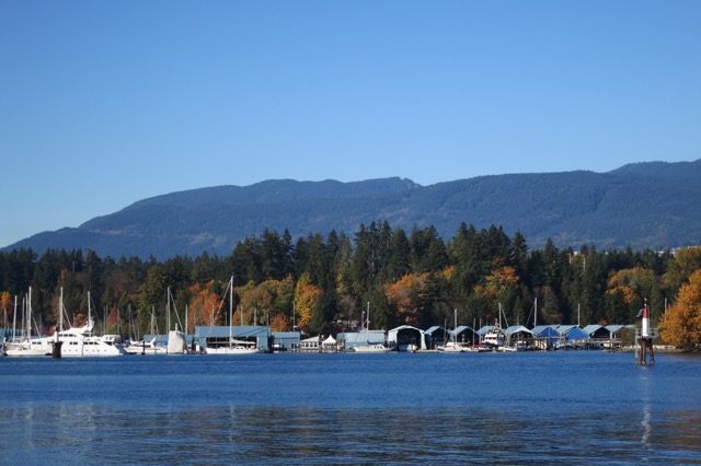 a body of water with boats and trees in the background