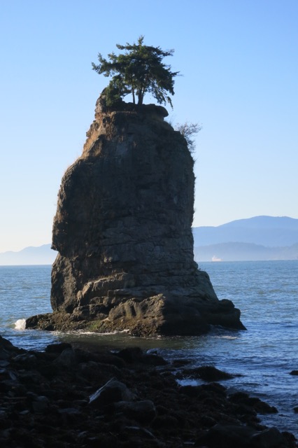 a rock with a tree on top
