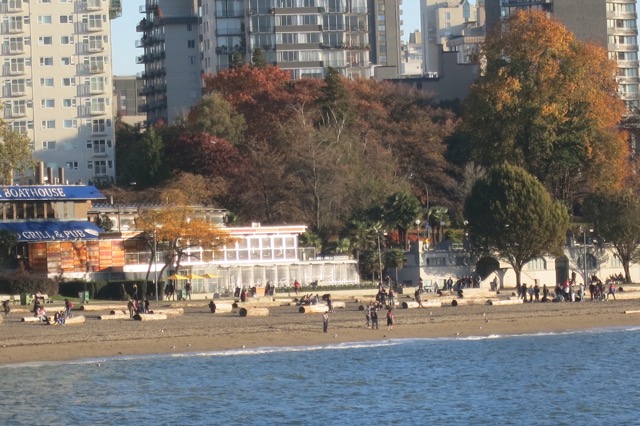 a beach with buildings and trees
