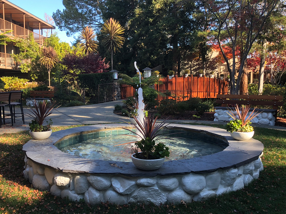 a fountain in a garden