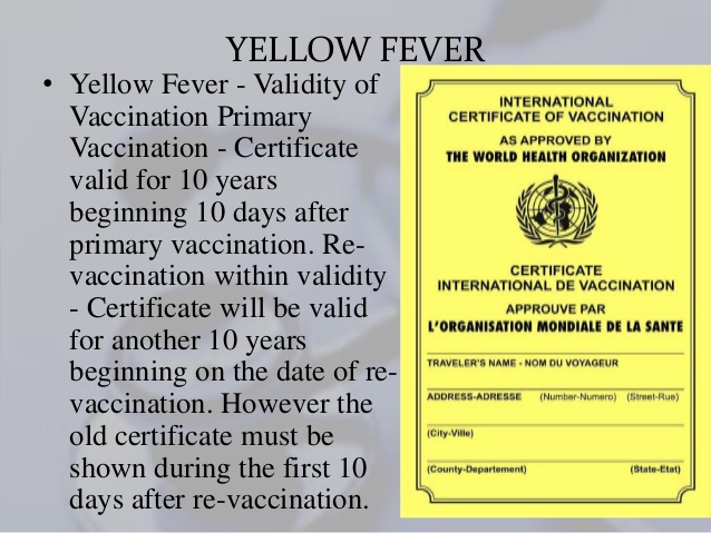 a yellow certificate with a logo on it