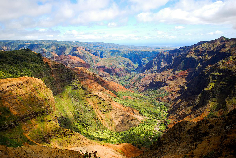 a valley with trees and mountains with Waimea Canyon State Park in the background
