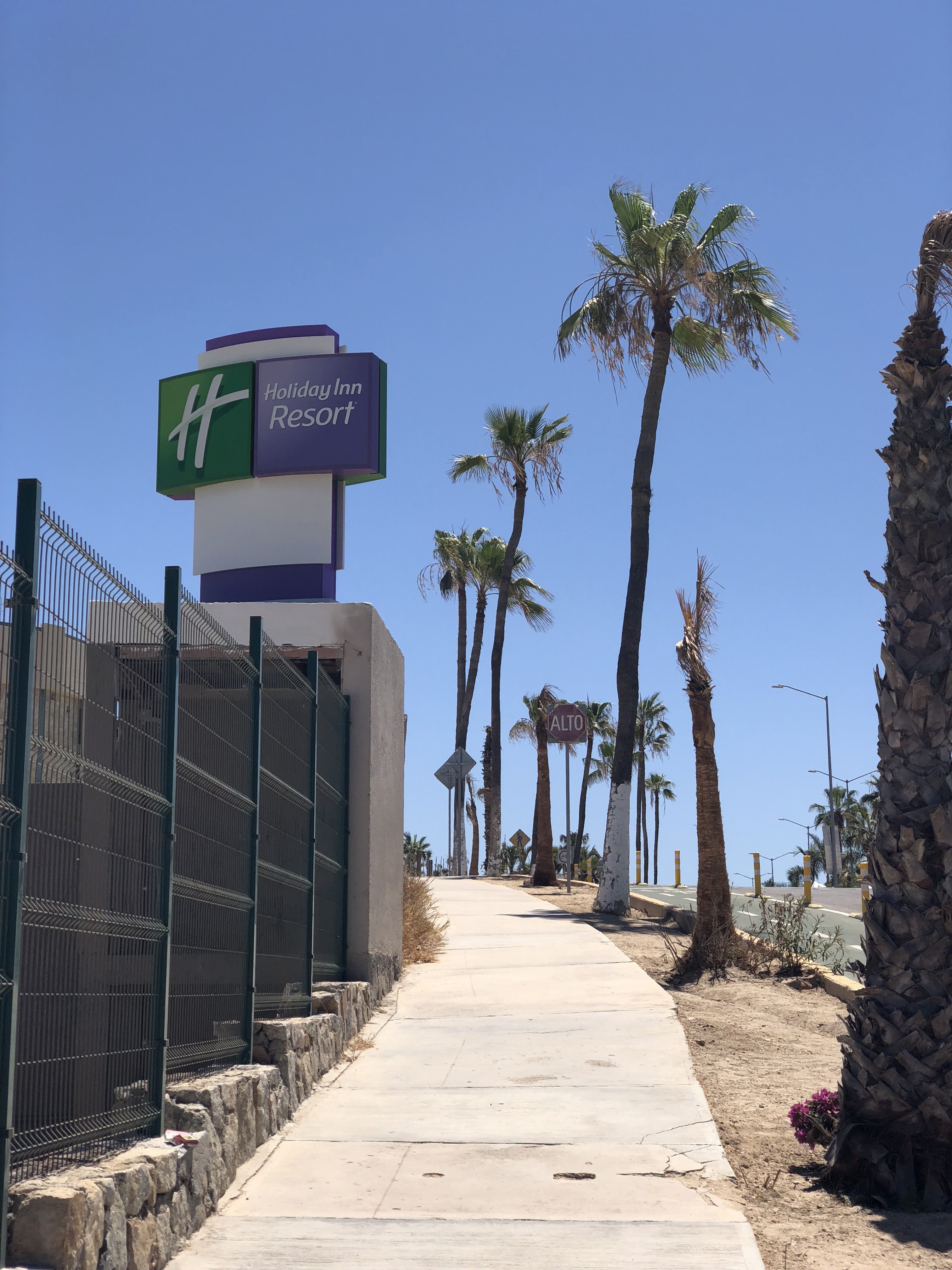 a sidewalk with palm trees and a sign